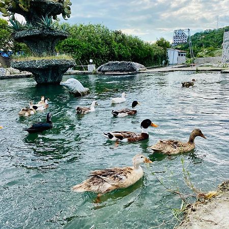 Kompleksi Turistik Dea Mjede Экстерьер фото