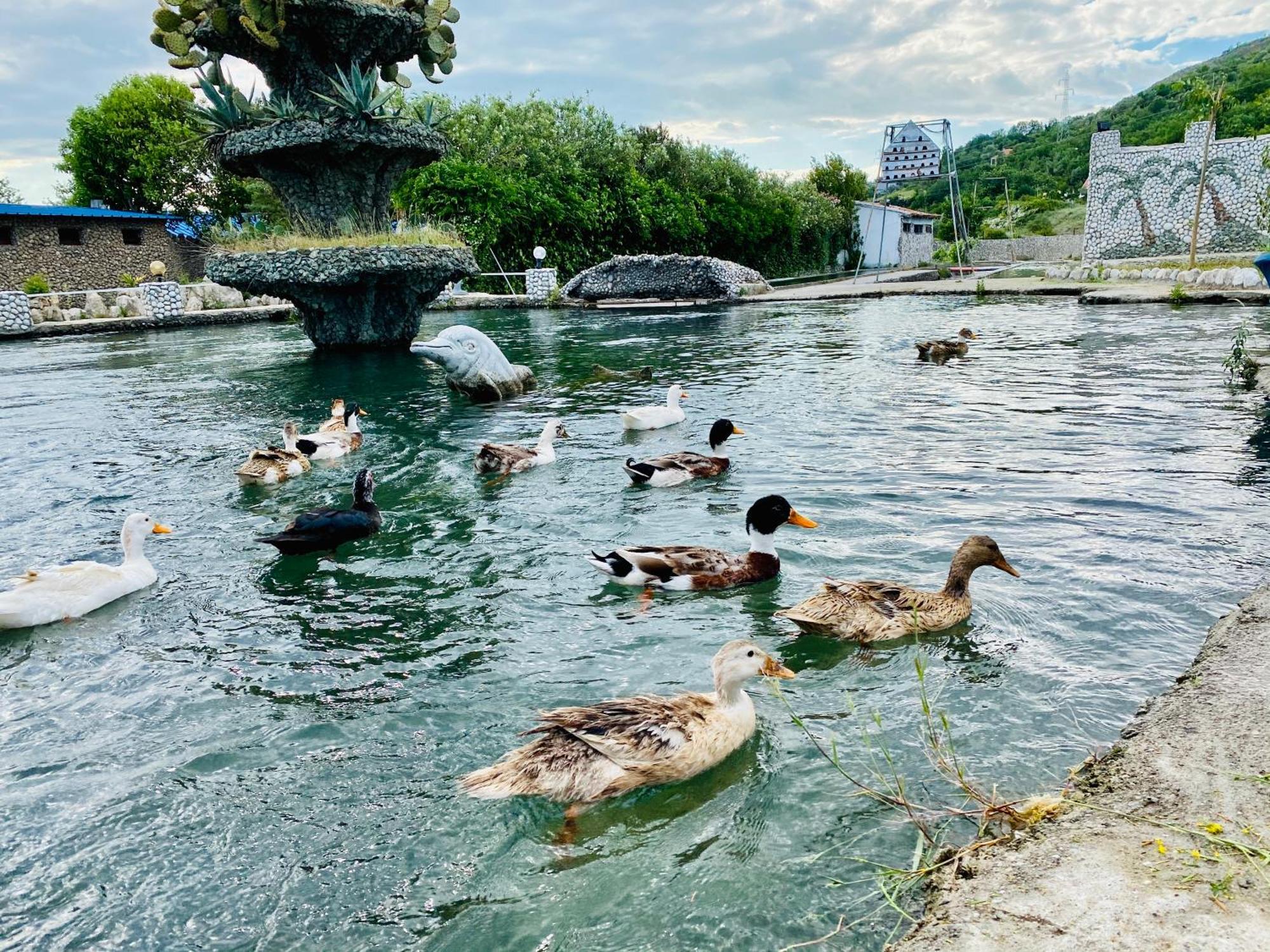 Kompleksi Turistik Dea Mjede Экстерьер фото